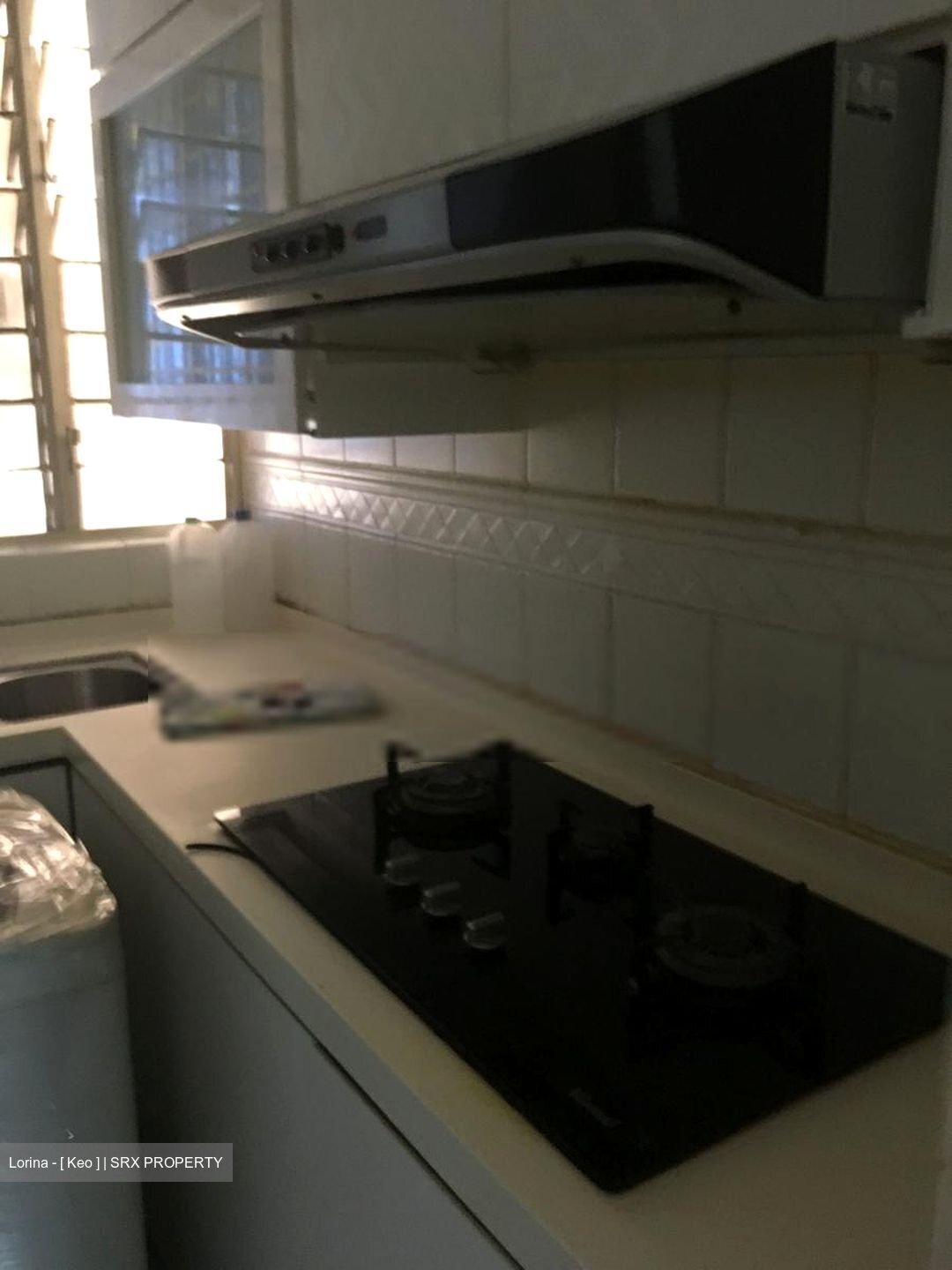 Regent Park (D5), Condominium #456719581